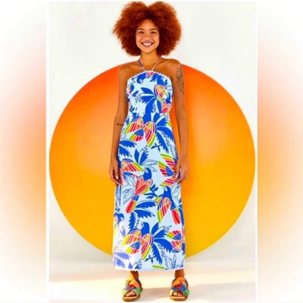 Farm Rio Blue Birds Midi Dress Size Medium Nwt Colorful